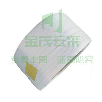 塑料PP纸箱打包带 1公斤