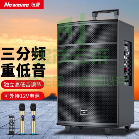 纽曼（Newmine）L66户外广场舞音响 15英寸移动便携式拉杆音箱 蓝牙三分频喇叭 双话筒+遥控器 