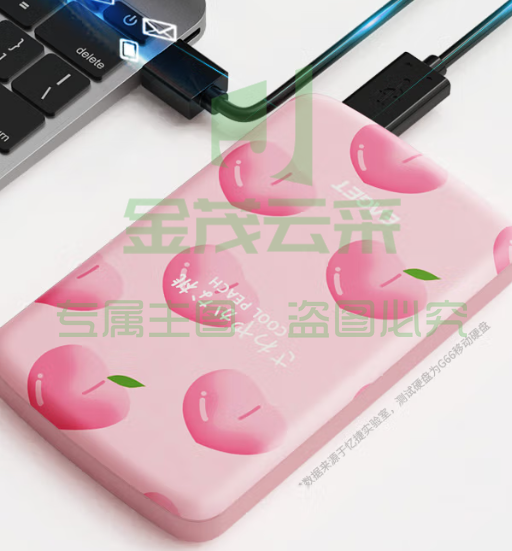 忆捷(EAGET)500G USB3.0移动硬盘G66粉色 2.5英寸彩绘插画移动硬盘