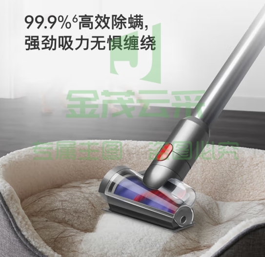 戴森（DYSON）V10n Digital Slim Nautik 轻量洗地吸尘器 无线家用除螨宠物 吸拖一体干湿两用洗地机吸尘器