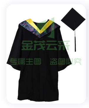 罗尔尼学士服/学位服/  毕业照服【工科-黄披肩】