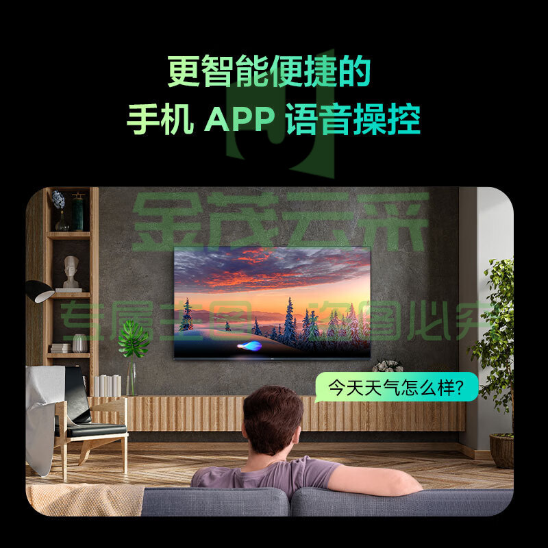 雷鸟 雀4SE 32英寸 全高清 超薄全面屏电视 智慧屏 教育电视 智能液晶电视 32F165C