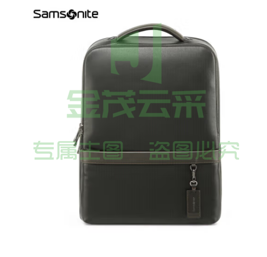 新秀丽（Samsonite）电脑包牛皮男包男士双肩包笔记本包精英商务BC9*09101黑色