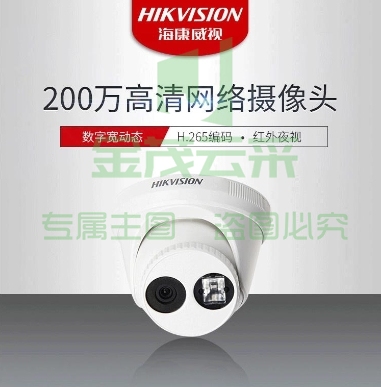 海康威视（HIKVISION） DS-2CD3325-1 POE百万高清半球摄像头