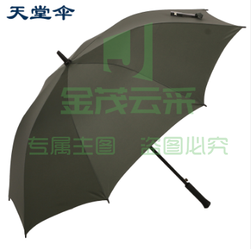 天堂伞长柄伞直杆伞天堂伞13024 男女式双人雨伞加固 苔绿