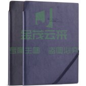 得力22215商务插笔皮面本(黑色)