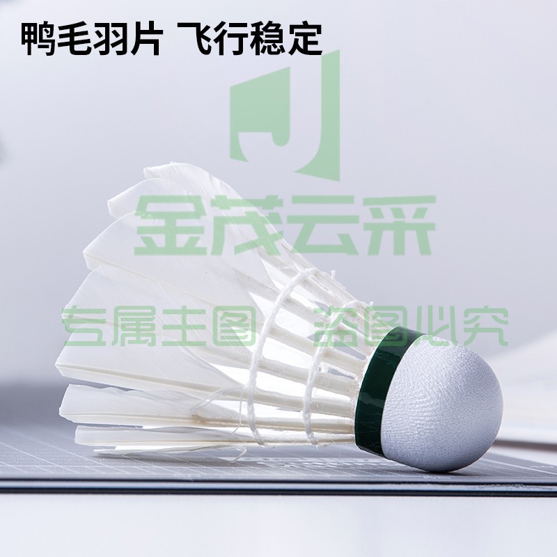 安格耐特（Agnite）F2205全圆羽毛球(白色)(12只/筒)