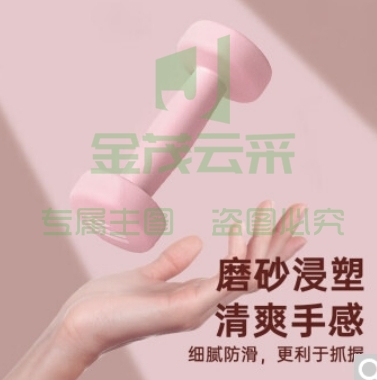 PROIRON哑铃女家用健身浸塑磨砂小哑铃跳操男士女士训练亚玲体育用品 2/3/5Kg套装含架子