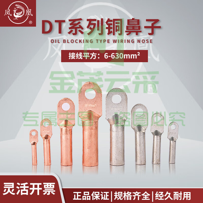 凤凰 DT--25平方 接线端子 铜端子铜鼻子