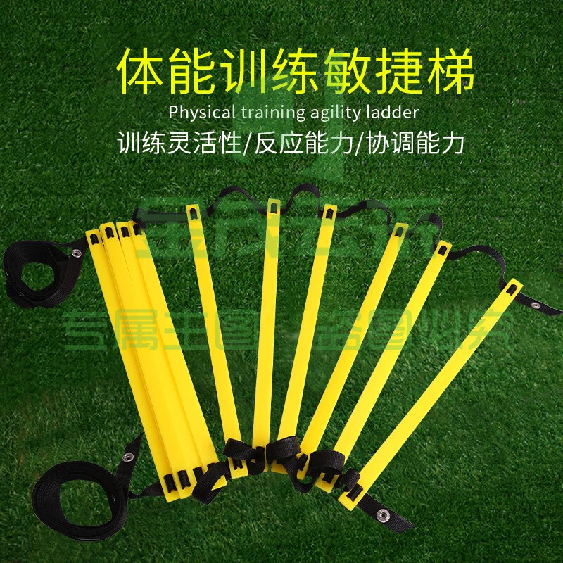 足球训练敏捷梯带按扣跳格梯软梯速度梯绳梯篮球训练器材障碍物 6米12节敏捷梯