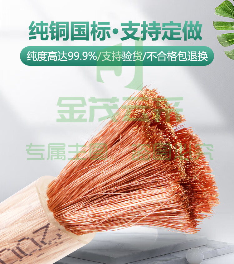 塑铜软线 4mm  每米价