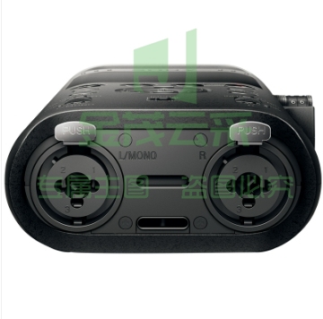 索尼（SONY）专业数码录音笔PCM-D10 16GB 黑色 数字降噪Hifi无损播放 大直径三向双麦克风