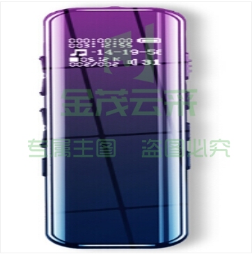 新科（Shinco）录音笔 V-19 16G 专业高清降噪 语音转文字 MP3播放器 炫酷黑