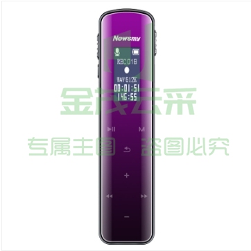 纽曼（Newsmy）录音笔 V29 16G 大电量长待机 触控键专业高清远距降噪声控FM收音机 学习培训会议留证 渐变紫 