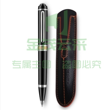 纽曼（Newsmy）笔形录音笔 RV96精英型 32G 专业微型高清降噪便携 学习培训商务会议录音速记 带笔套 黑色