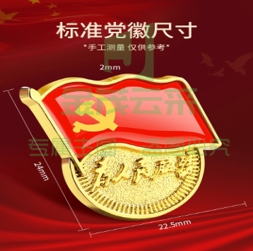 党徽 党员徽章 党徽胸章 厚度2mm 磁扣款 20个起售