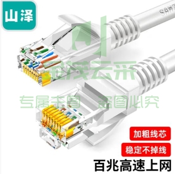 山泽（SAMZHE）ZW-10 超五类网线 CAT5e类高速千兆网线 10米 工程/宽带电脑家用连接跳线 成品网线 贝吉色