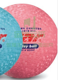排球CB814-13