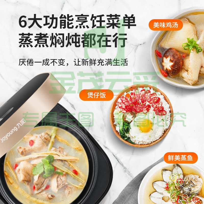 九阳Joyoung电饭煲4L F40FZ-F531(B)黑金 (