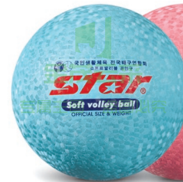 排球CB814-07