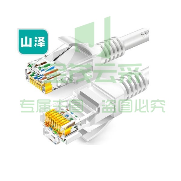 山泽(SAMZHE)ZW-02 超五类网线 CAT5e类高速百兆网线 2米 贝吉色 (