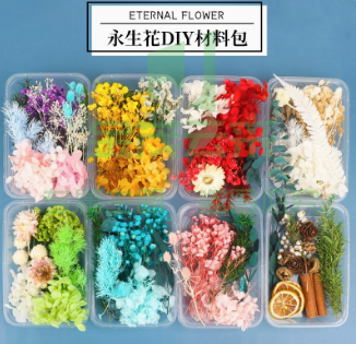 天然干花永生花假花仿真花儿童手工diy团扇材料包