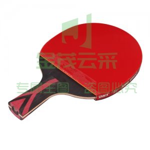 红双喜 DHS H8006 八星乒乓球拍直拍(短柄)比赛成品单拍芳碳5+2AC 7层攻防