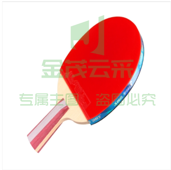 红双喜DHS狂飚五星乒乓球拍直拍双面反胶5层强攻H5006