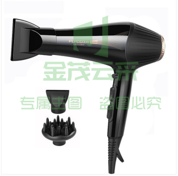 飞科(FLYCO)电吹风 大功率负离子 家用旅行发廊吹风机FH6357