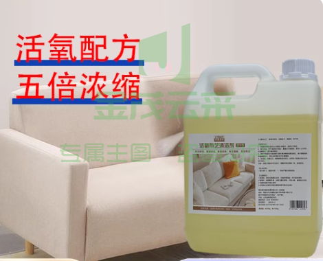 沙发清洗机5L